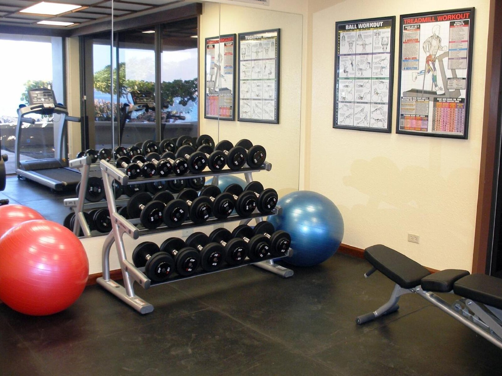 Sport