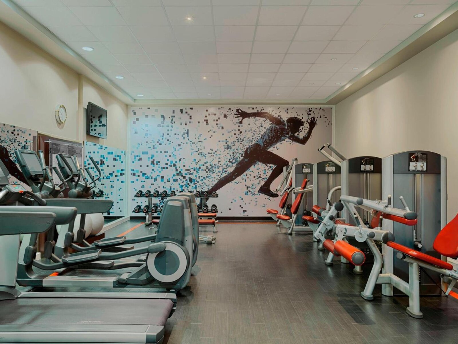 Sport
