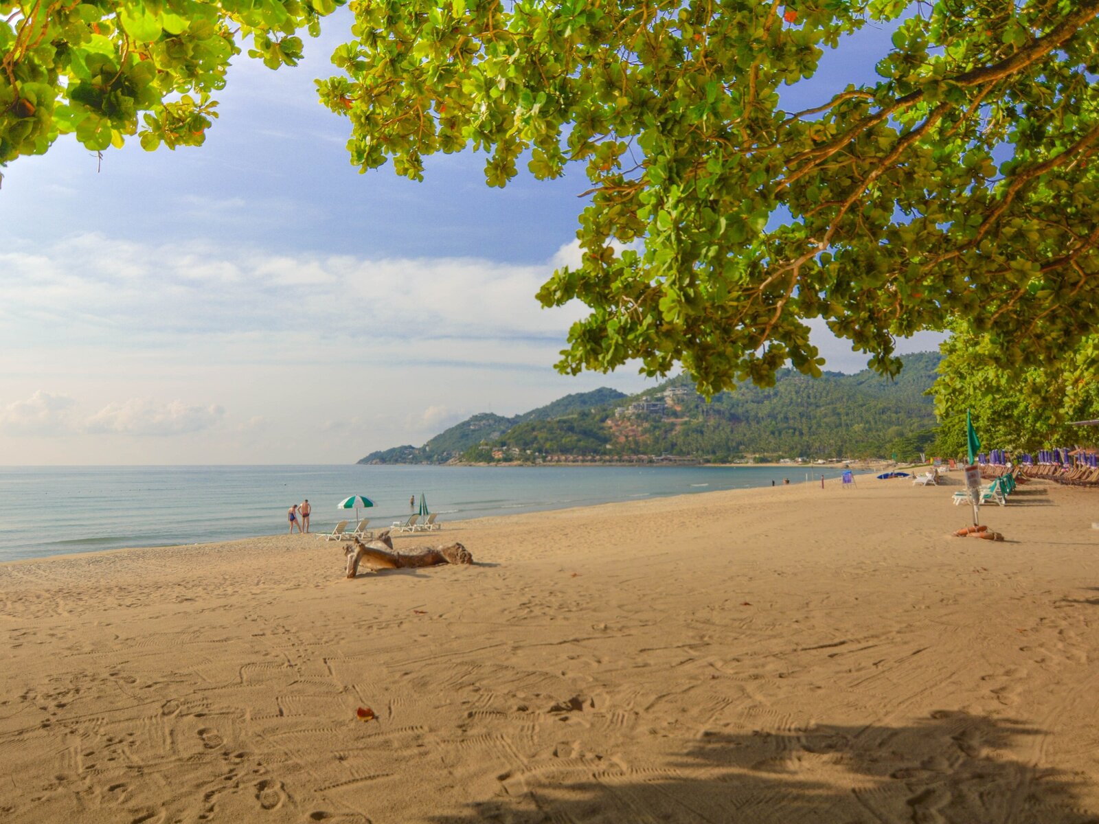 Strand