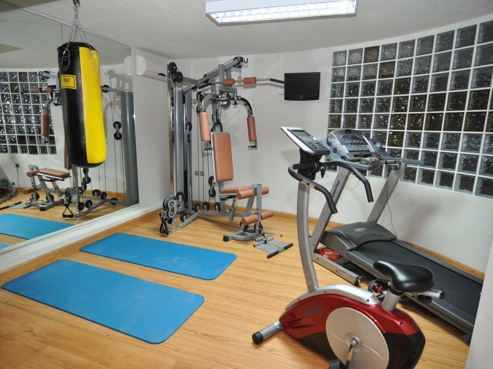 Sport