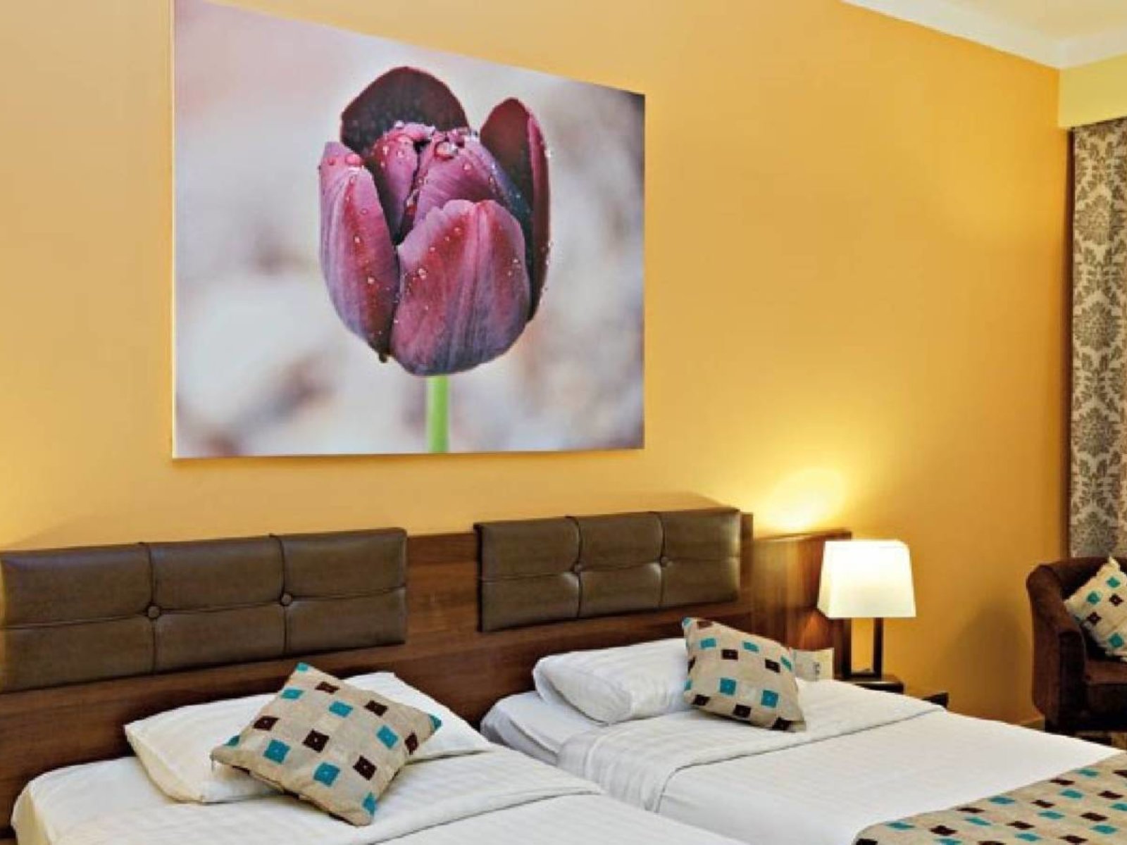 Wohnbeispiel Premium Room