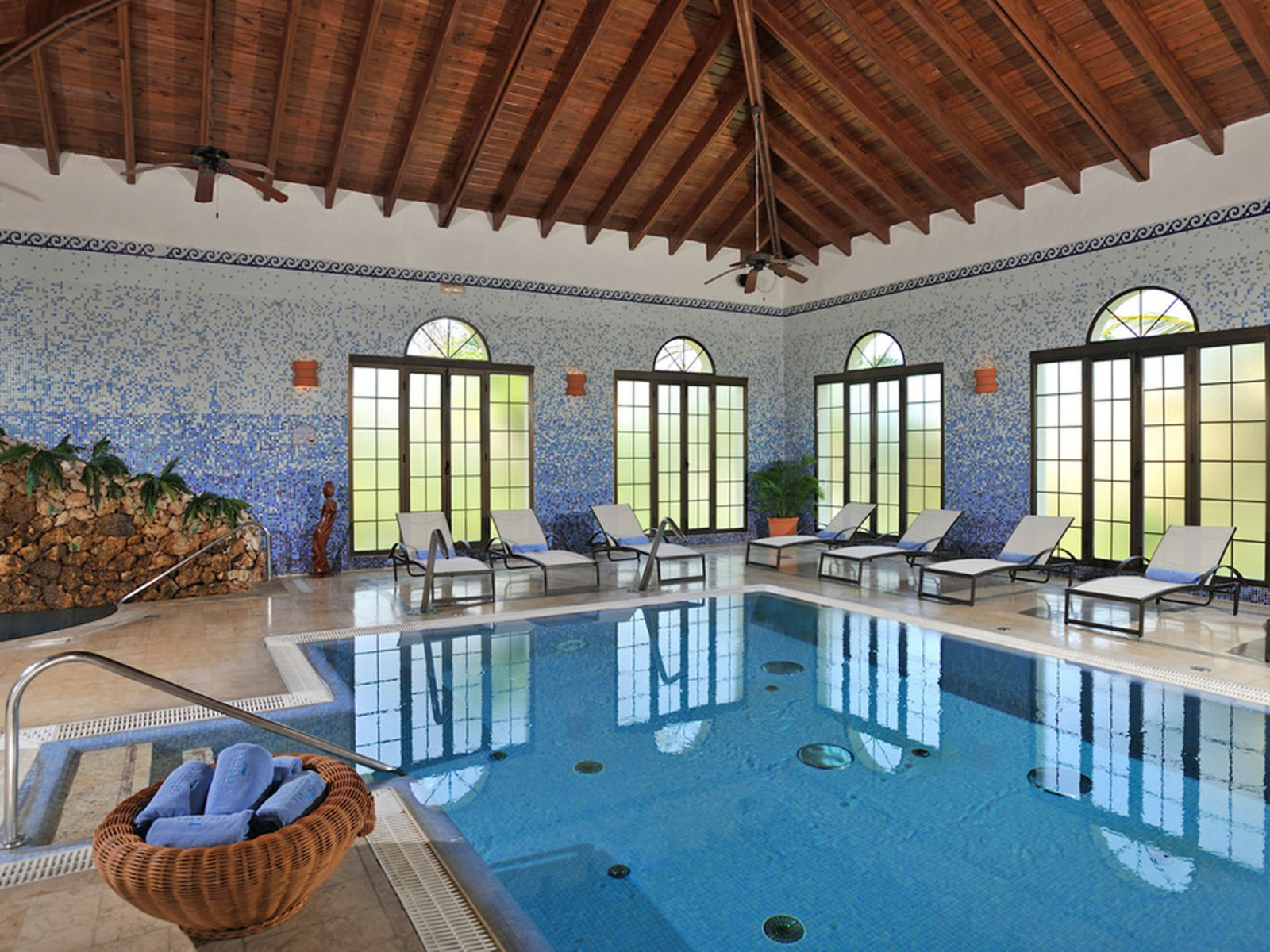 Wellness