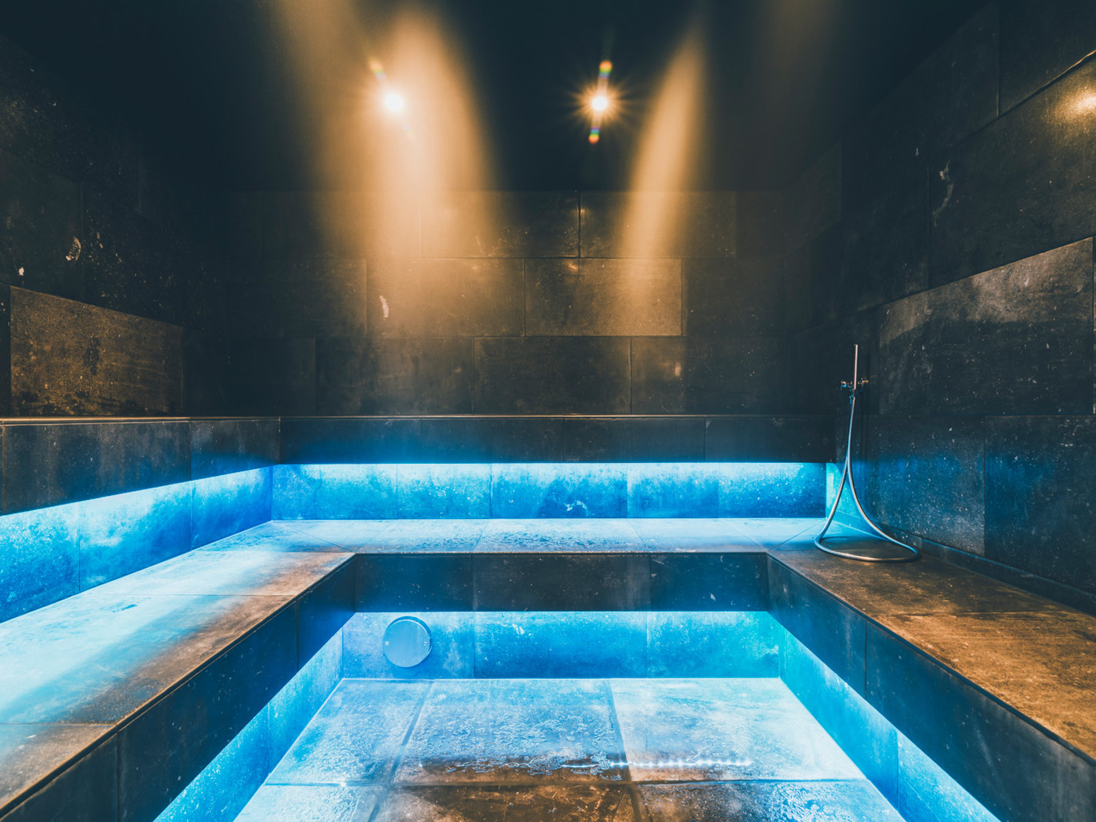 Wellness