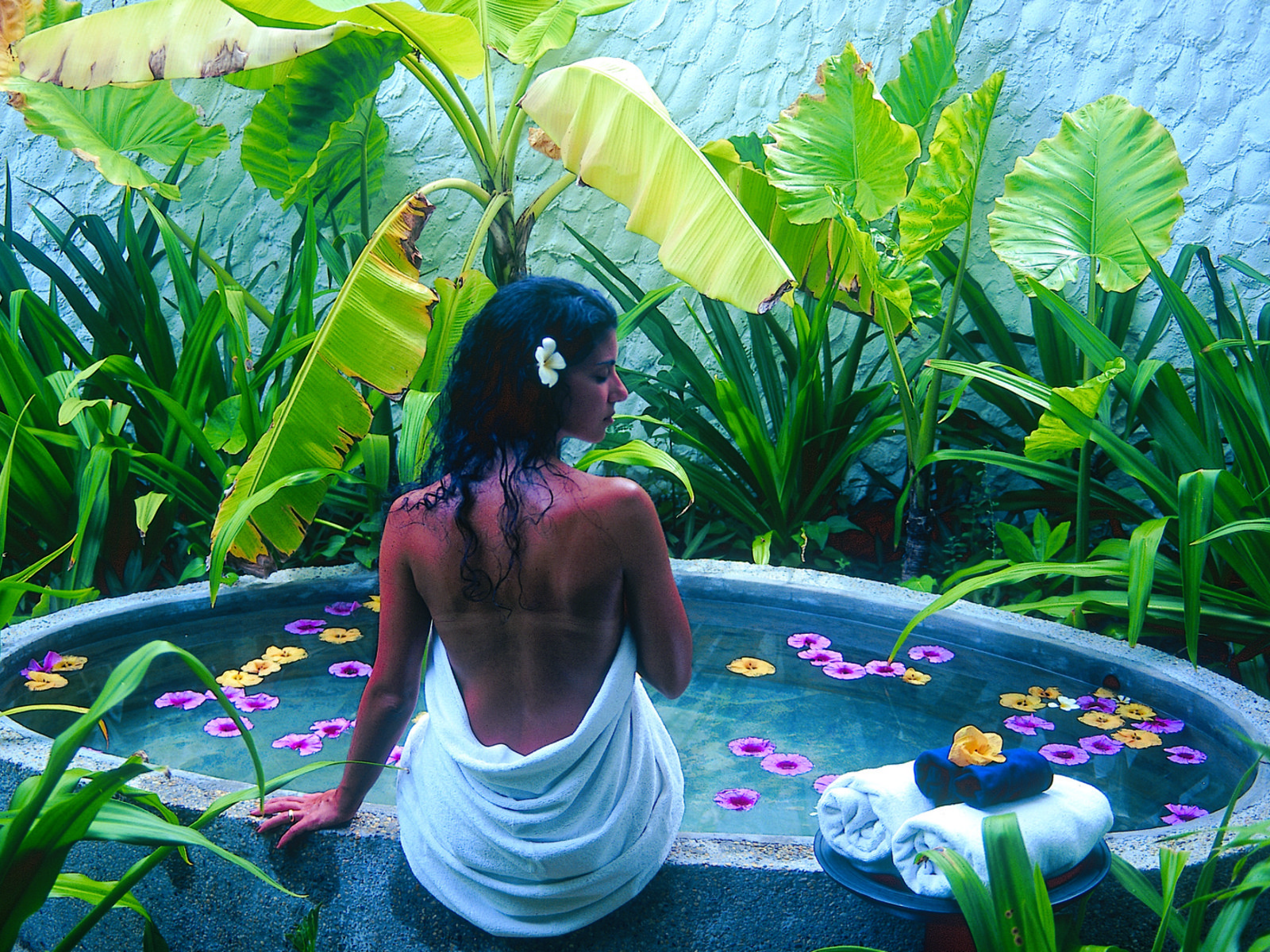 Wellness