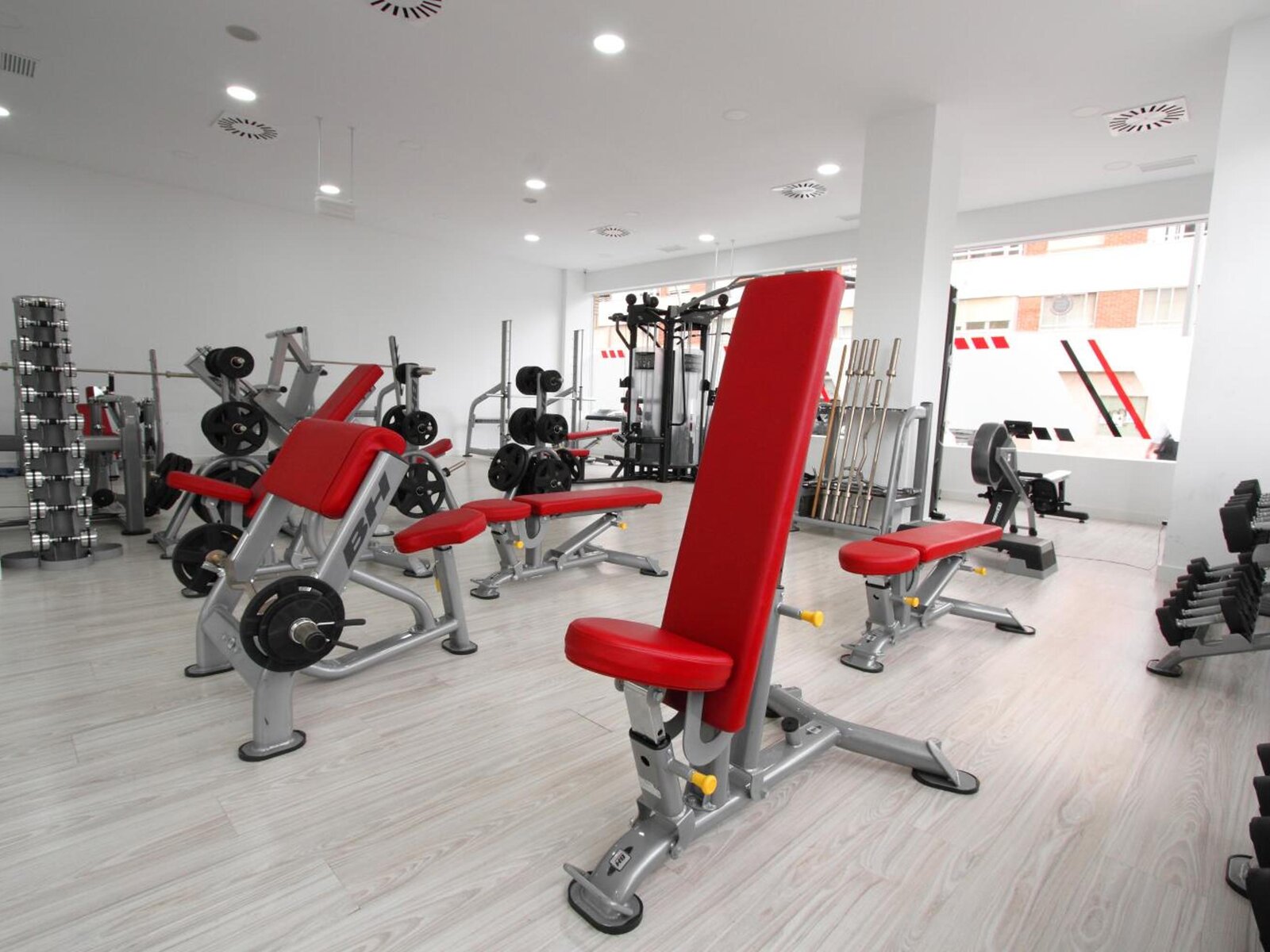 Sport