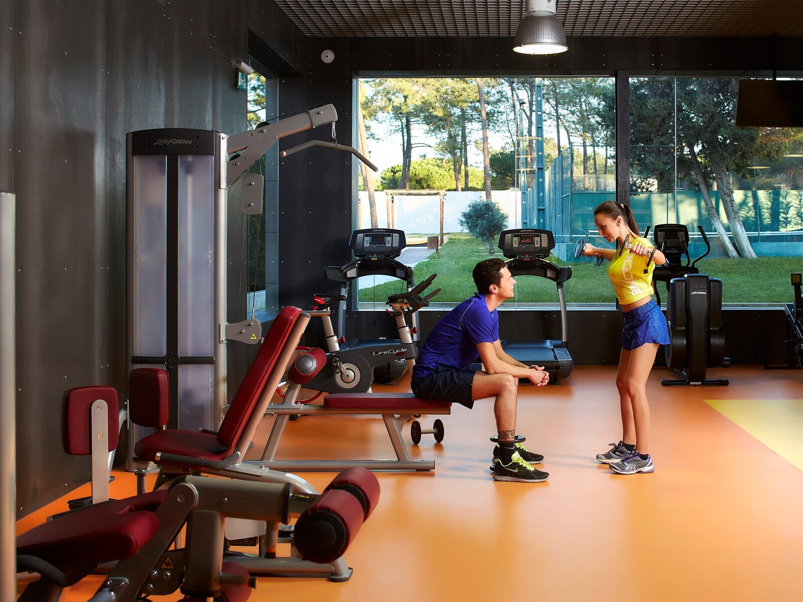 Sport