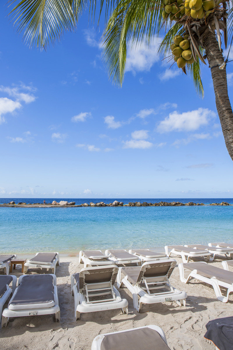 Sea Aquarium Beach