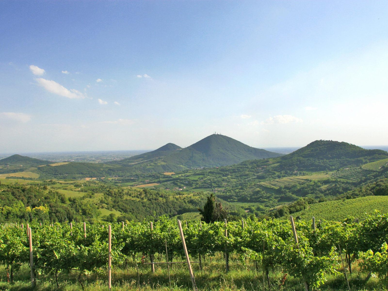 Landschaft