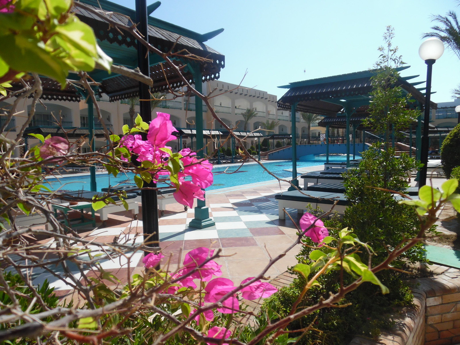 Pool