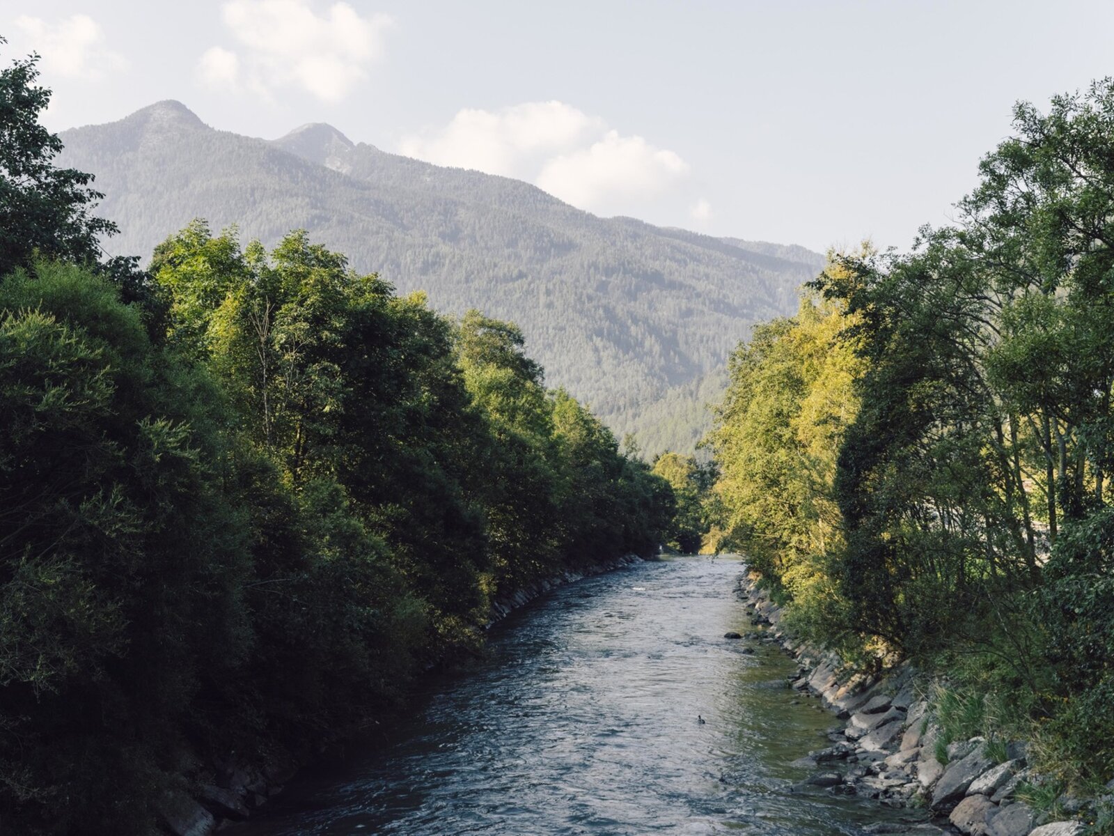 Landschaft
