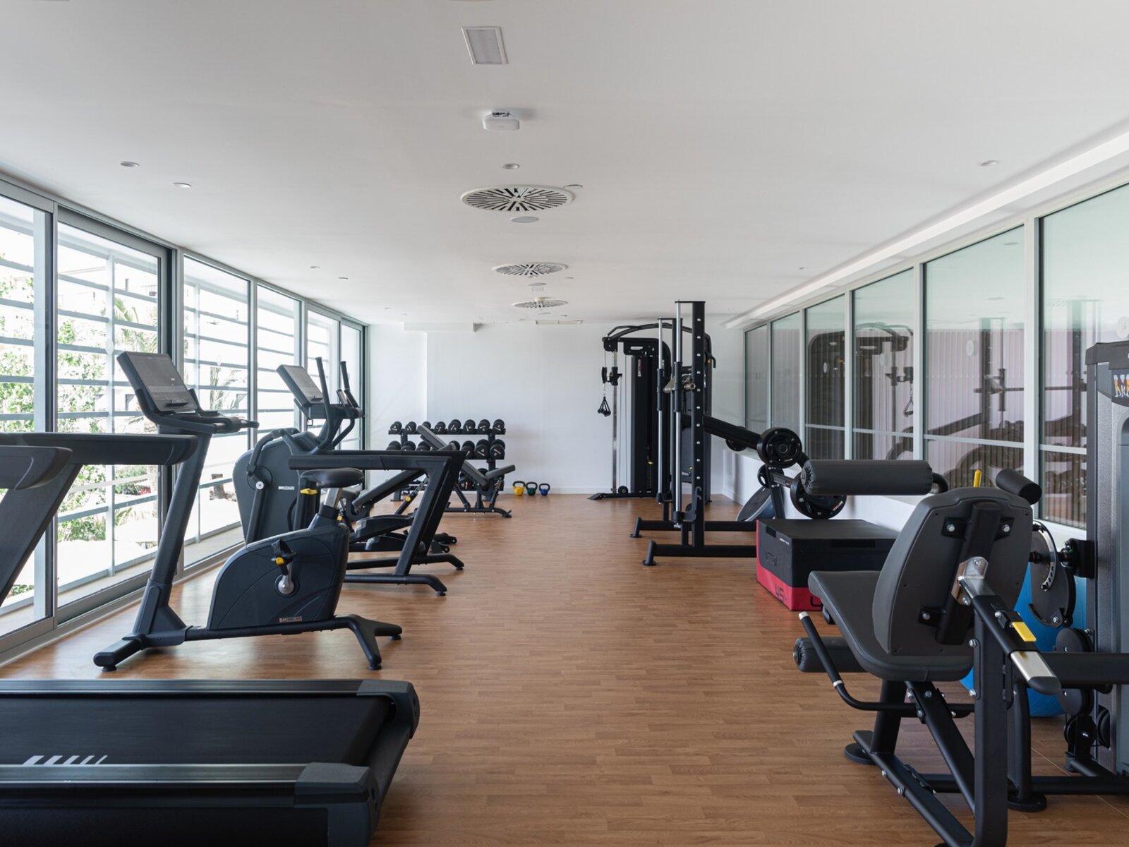 Sport