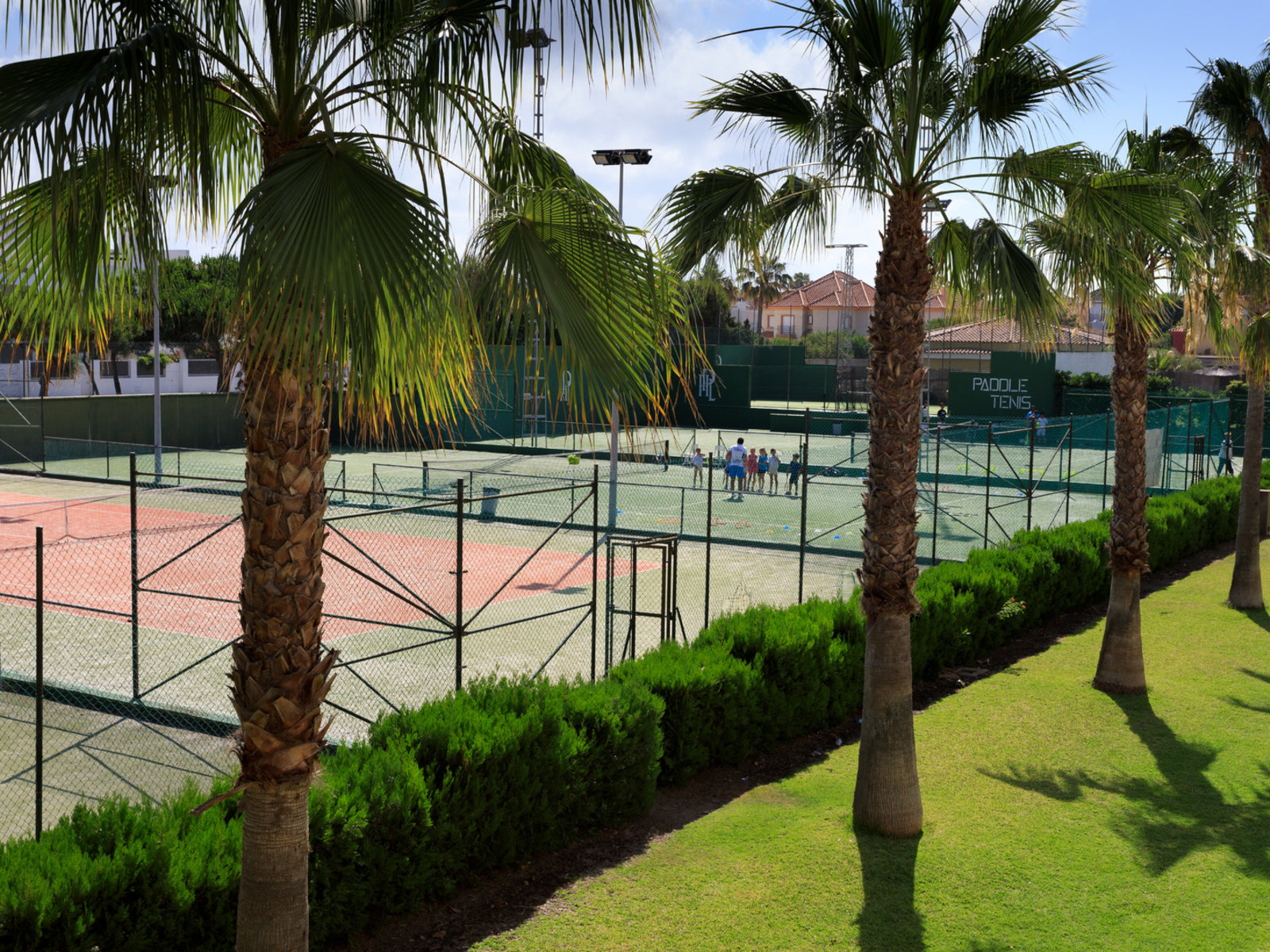 Sport