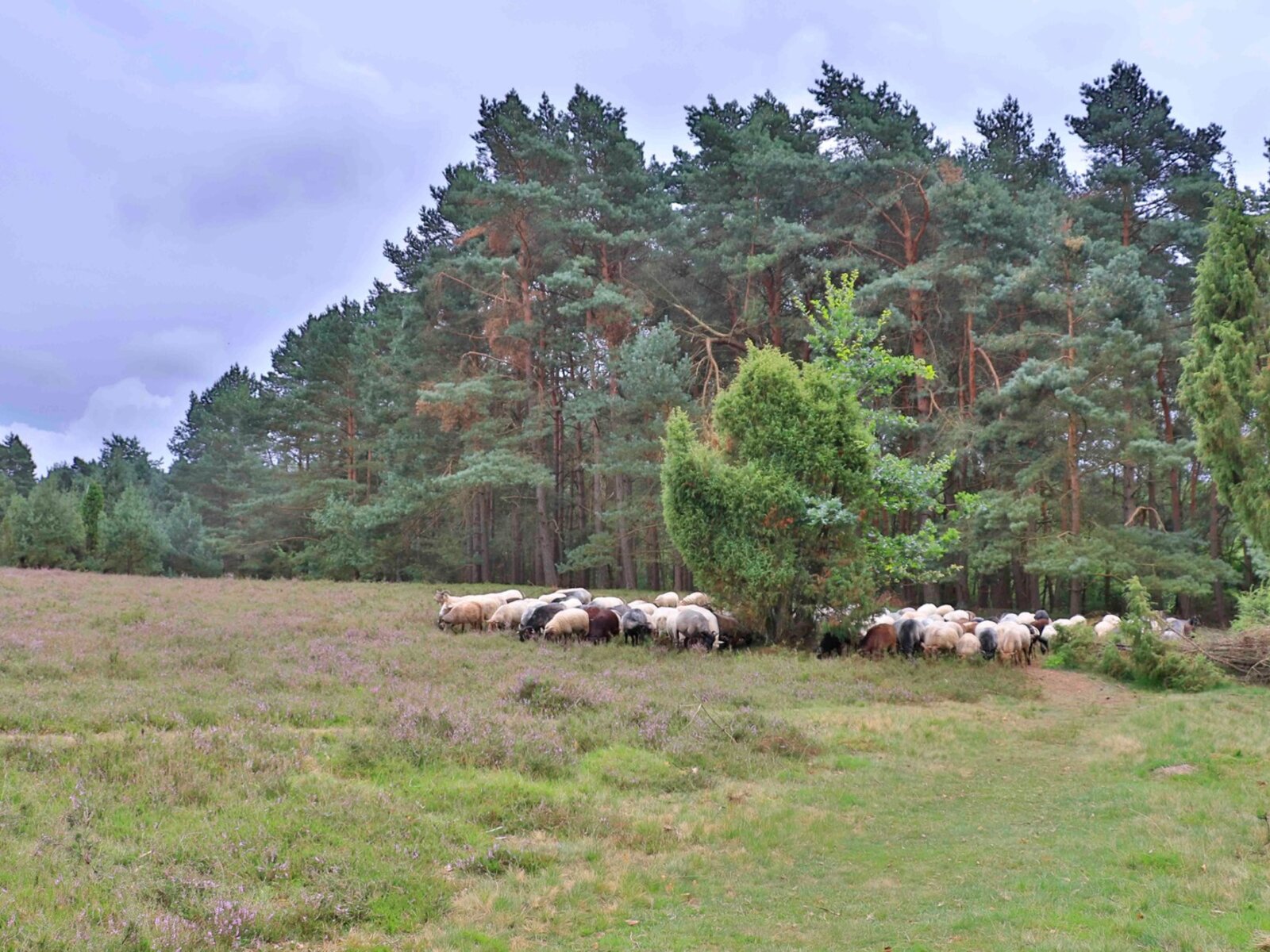 Landschaft