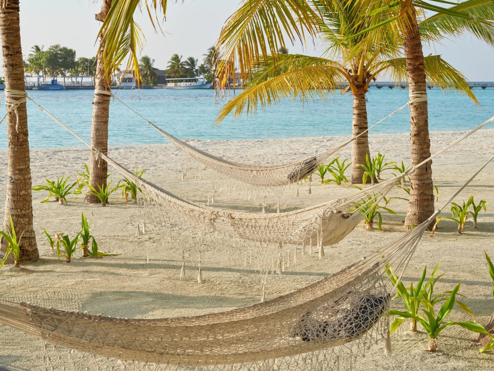 Cocoon Lounge