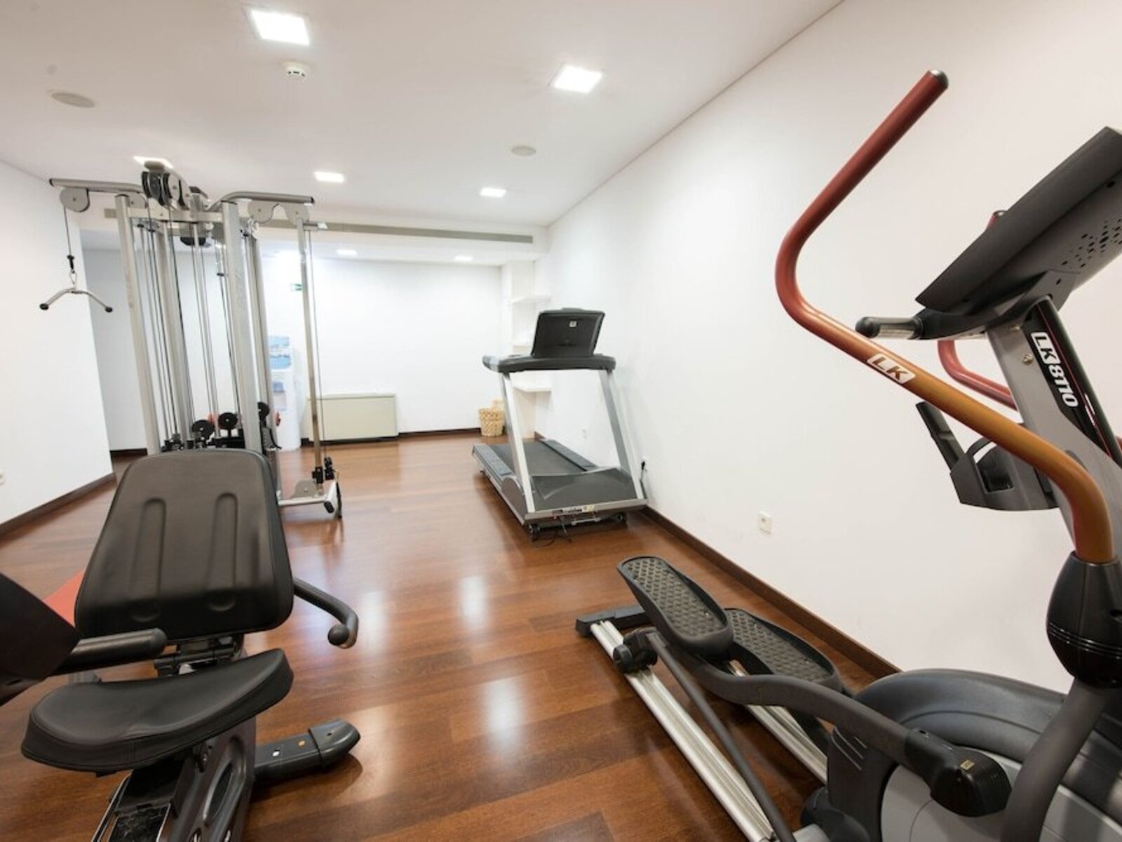 Sport