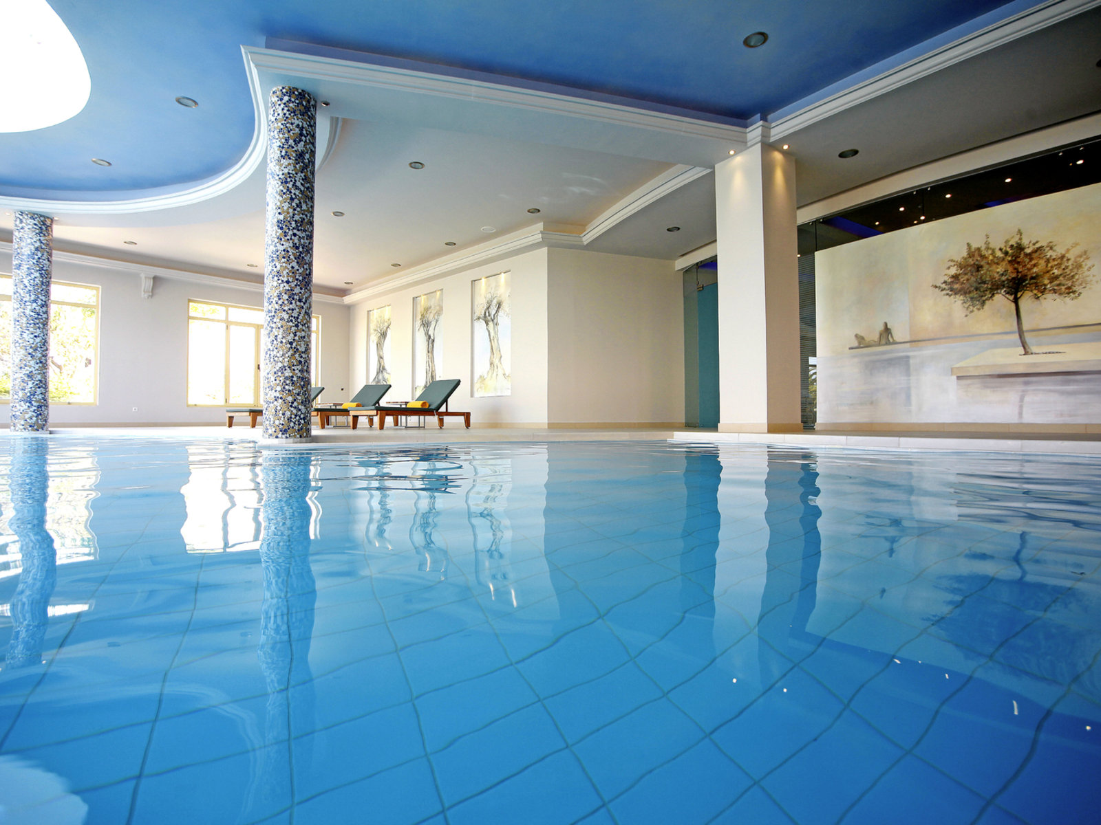 Wellness