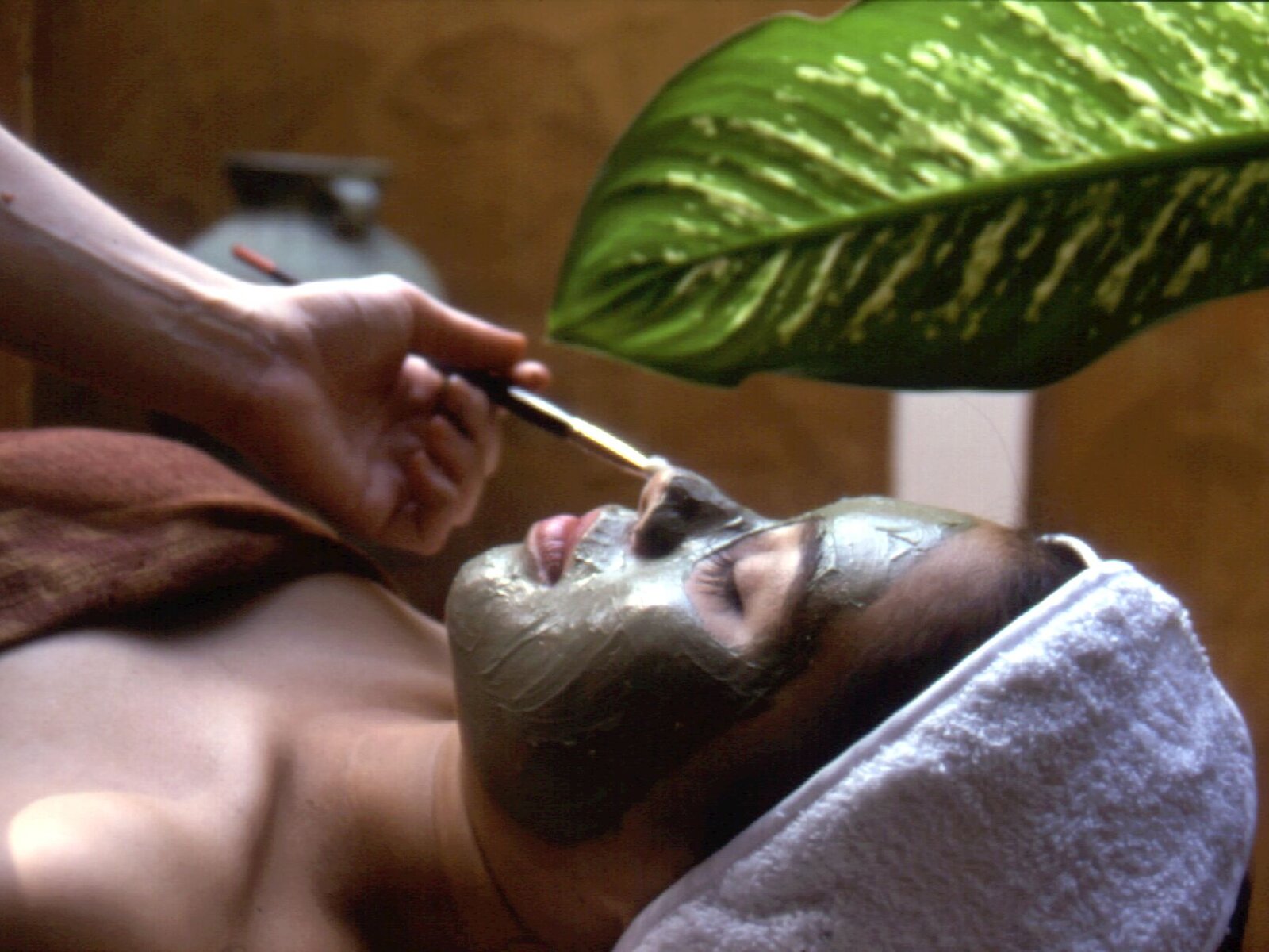 Wellness