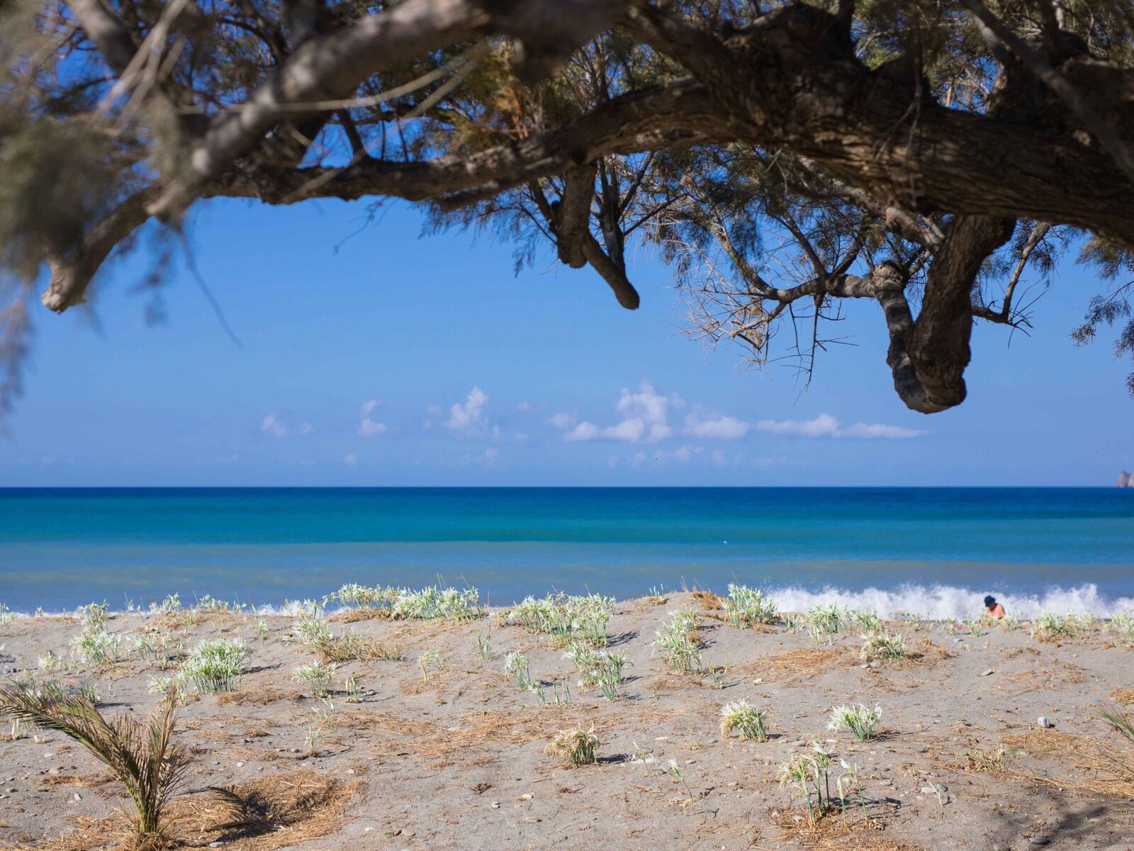 Strand