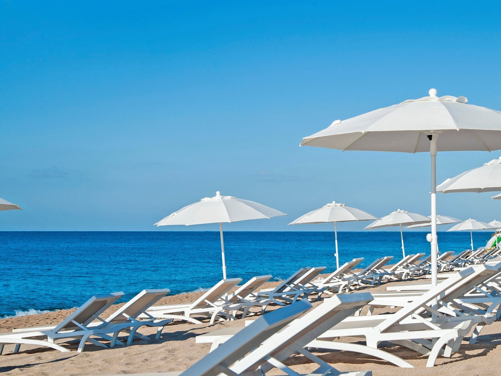 Hotel Hotel Kaktus Playa in Calella de la Costa gnstig buchen bei TUI.com