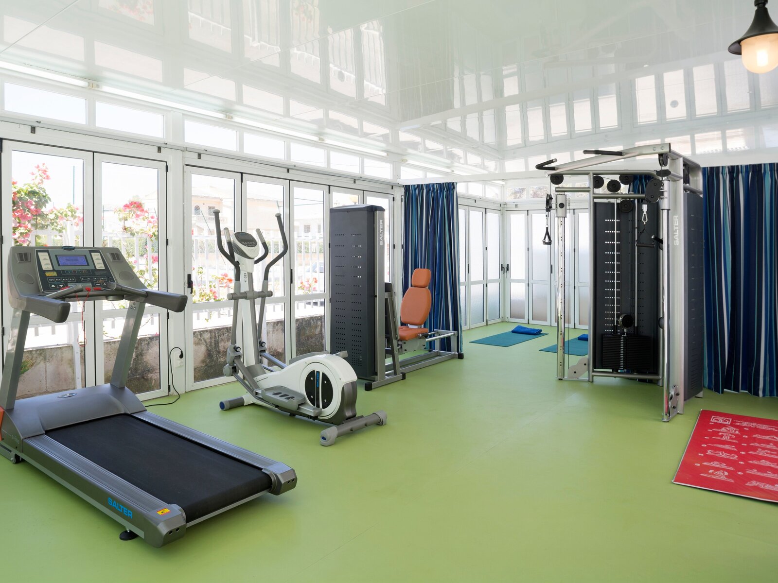 Sport