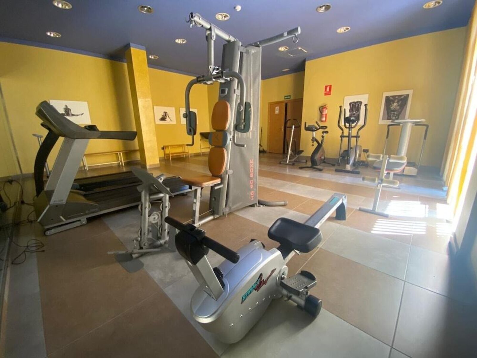 Sport