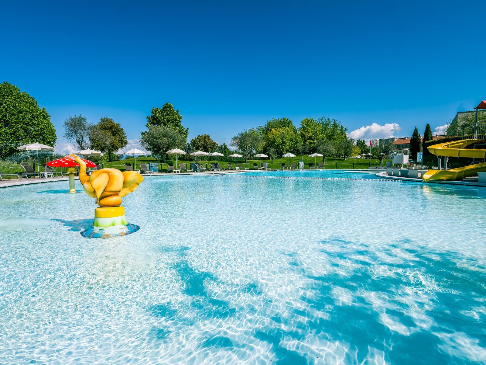 Wynnie The Pool