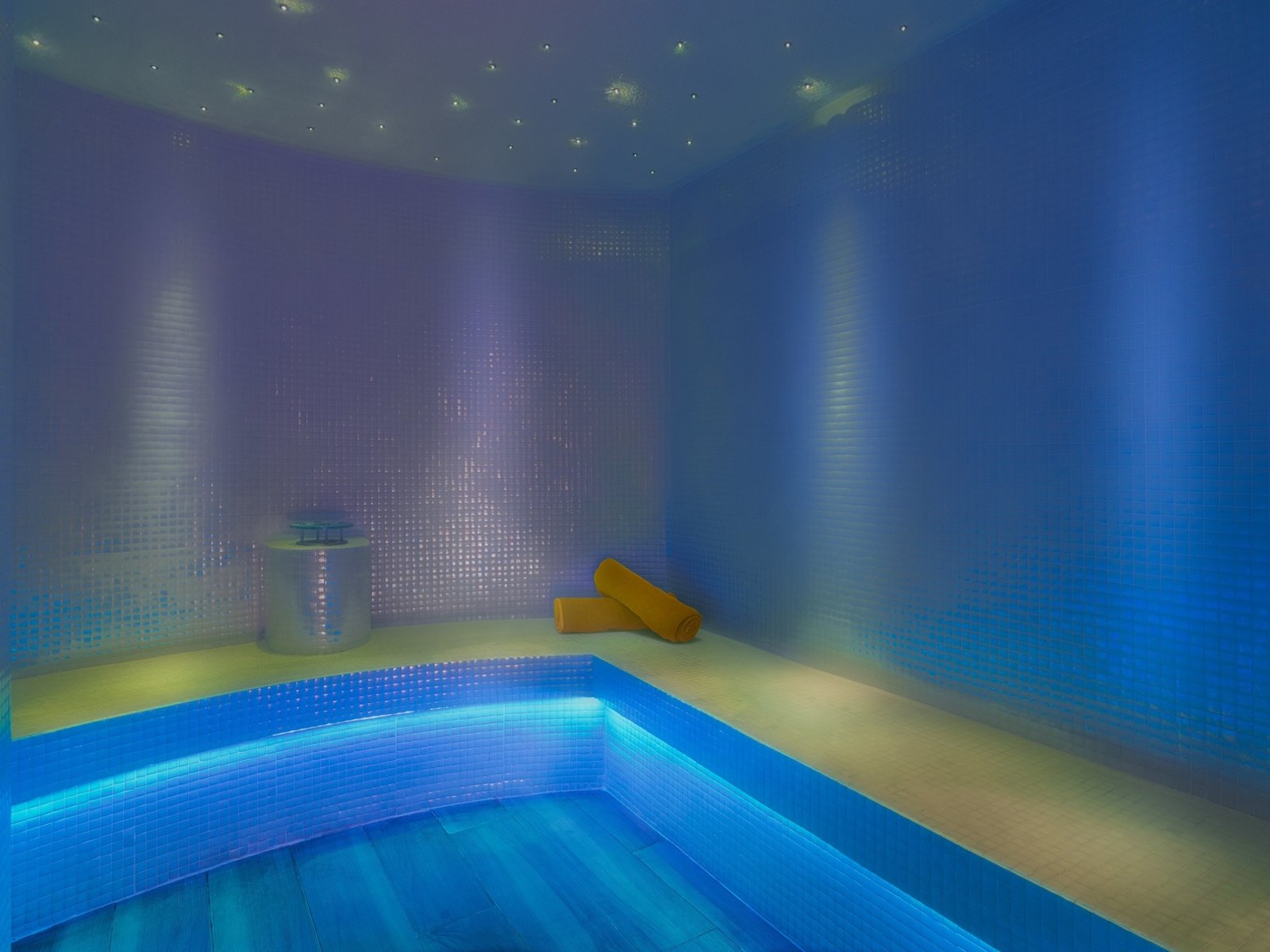 Wellness