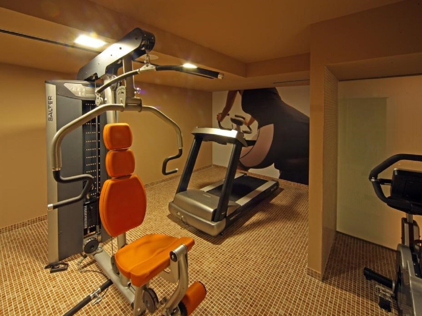 Sport