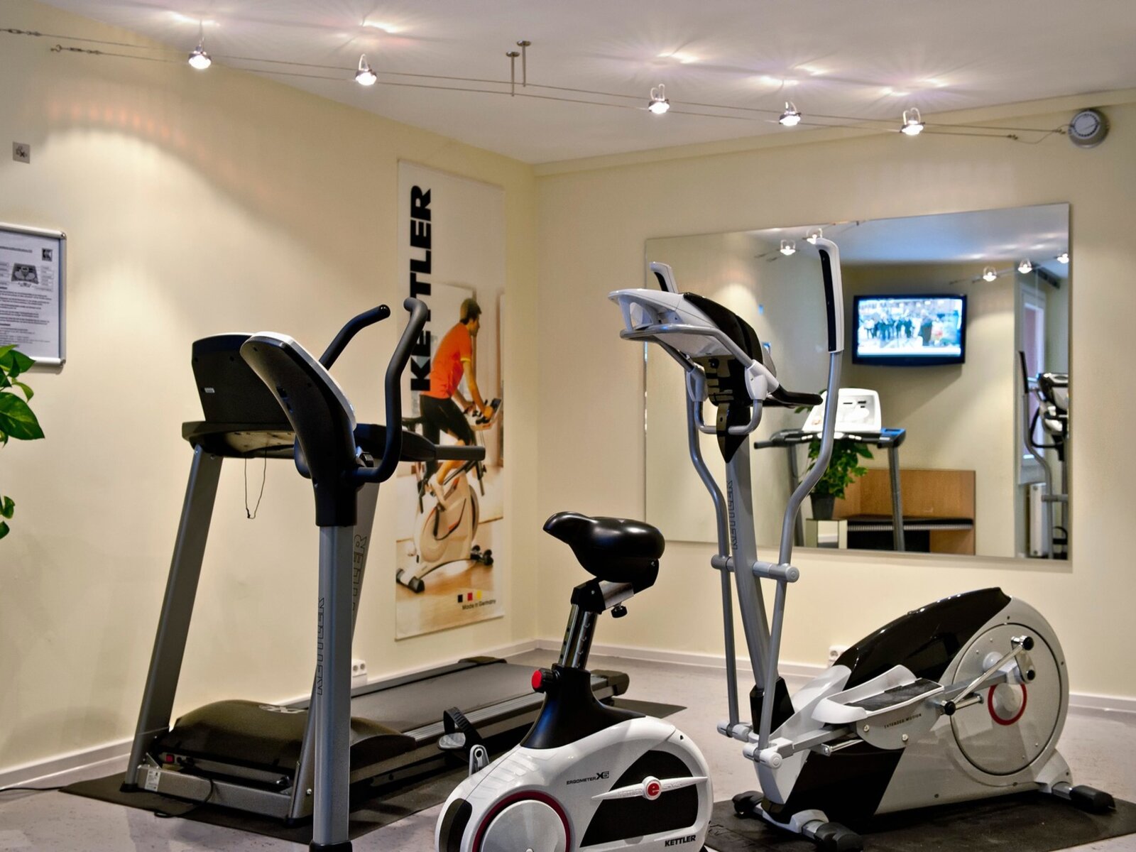 Sport
