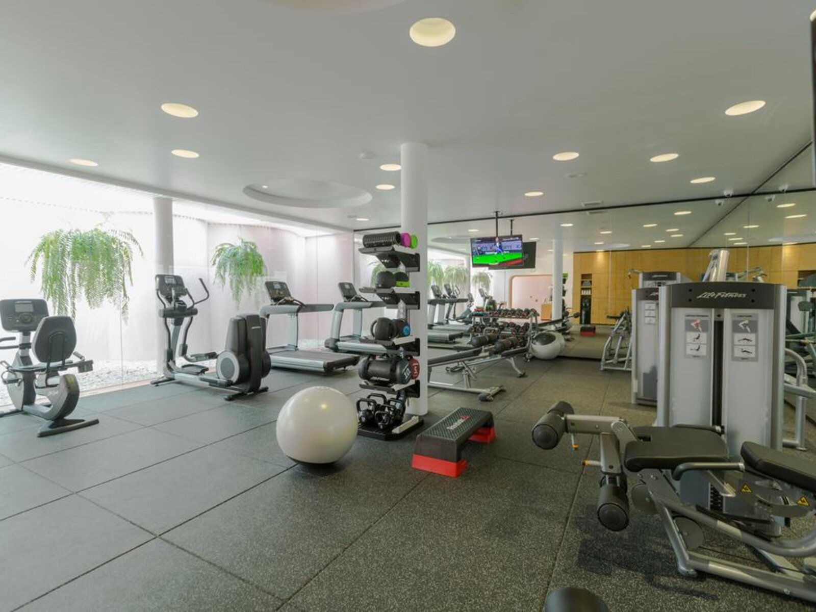 Sport