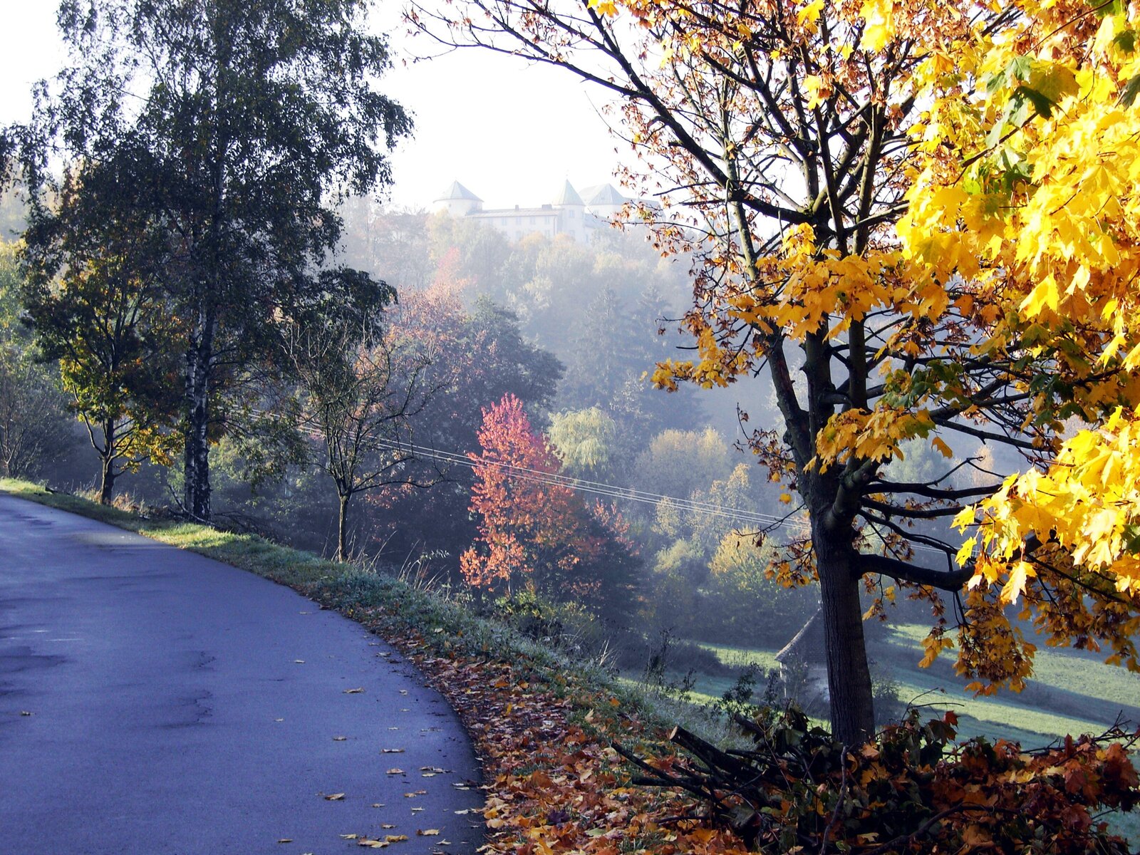 Landschaft