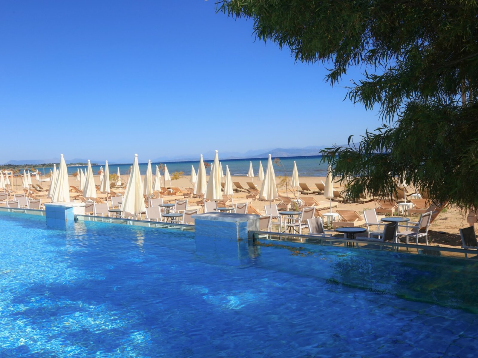MAIN POOL