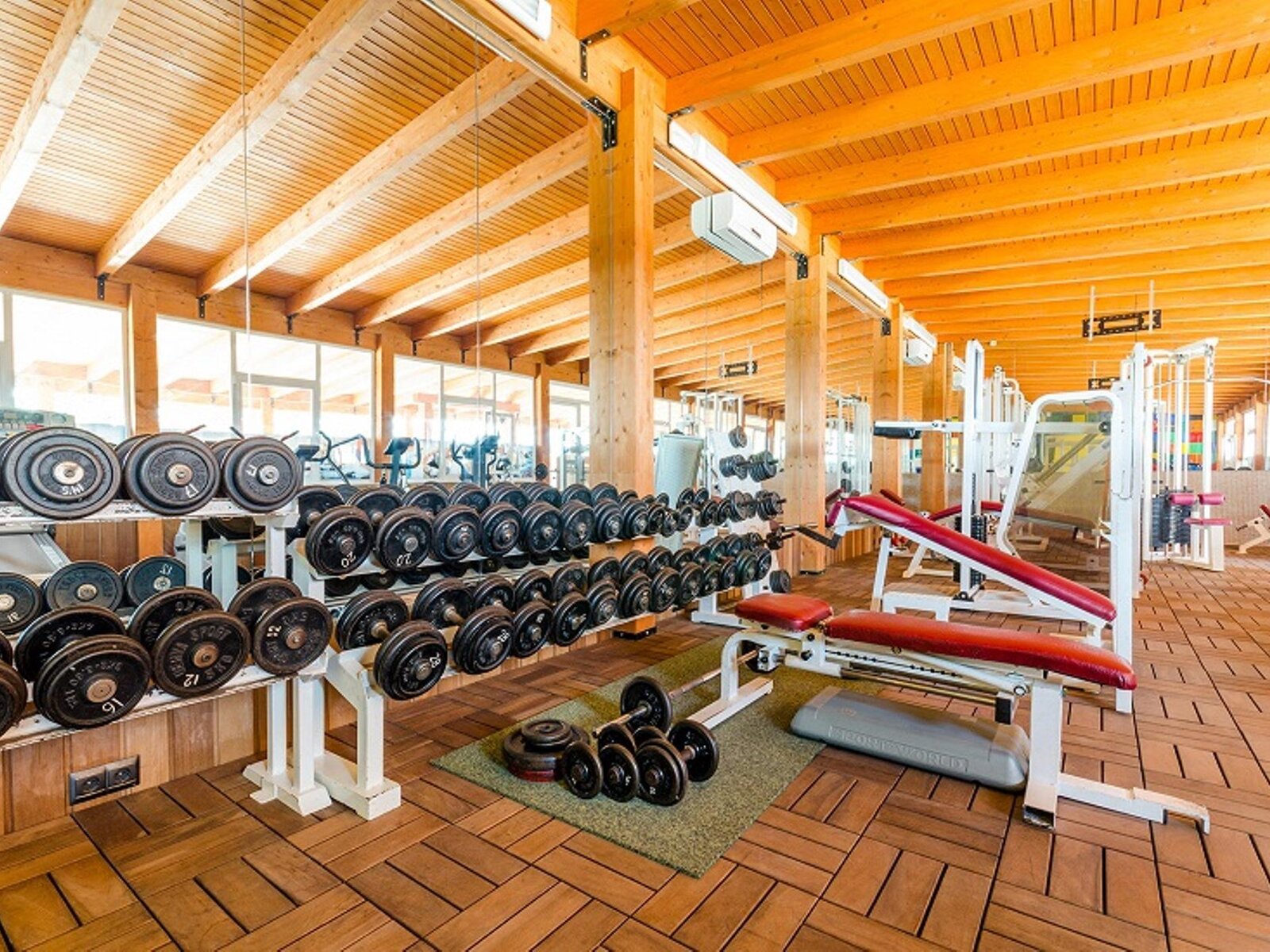 Sport