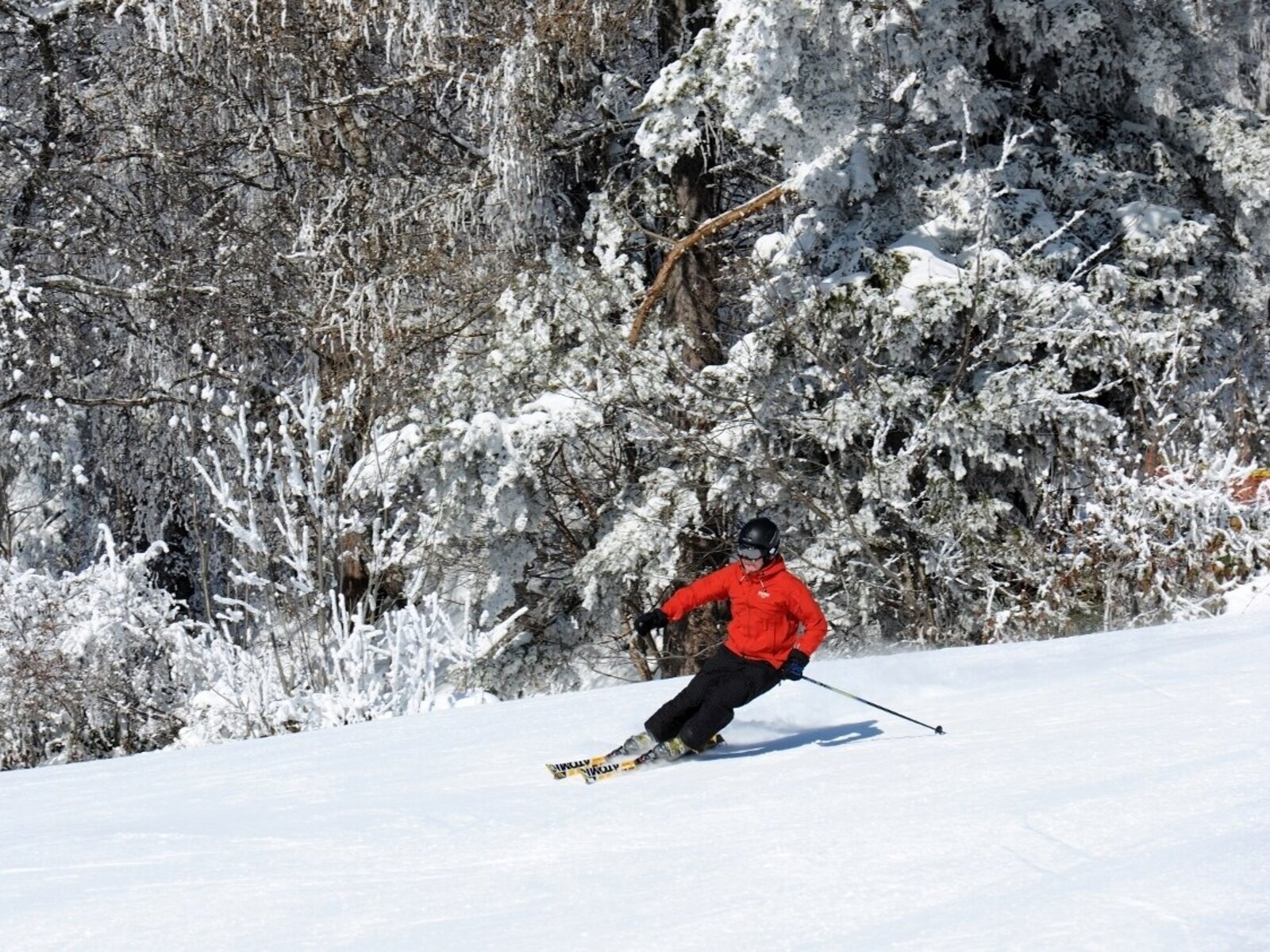 Wintersport