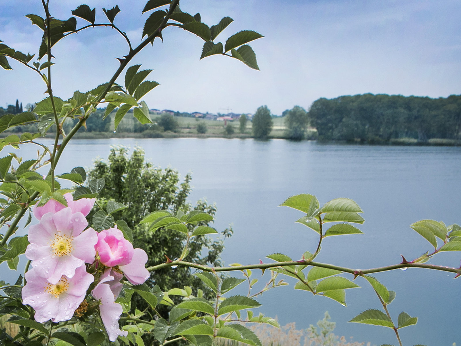 Landschaft