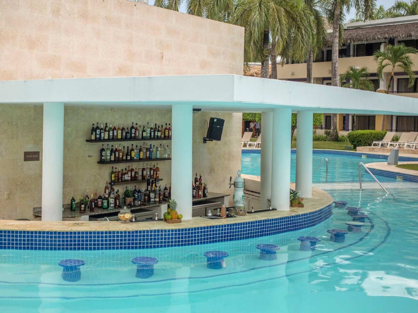 Bar Piscina