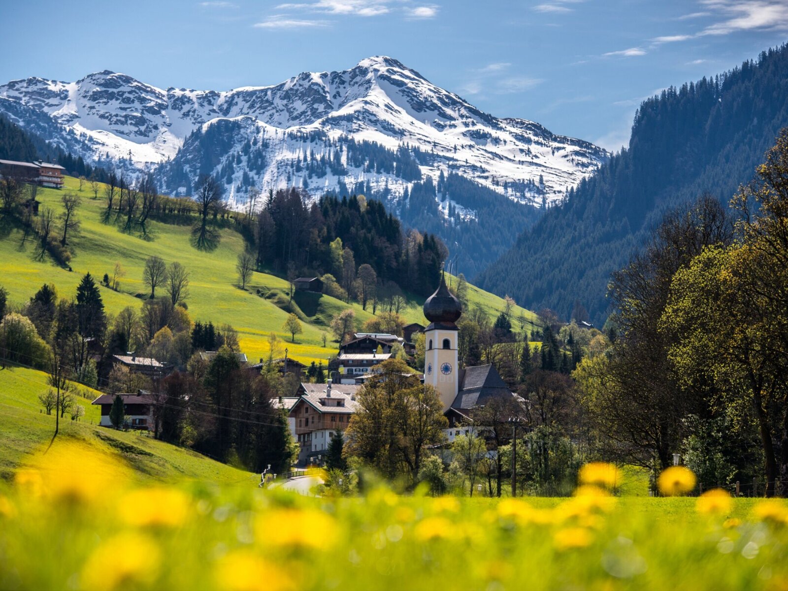 Landschaft
