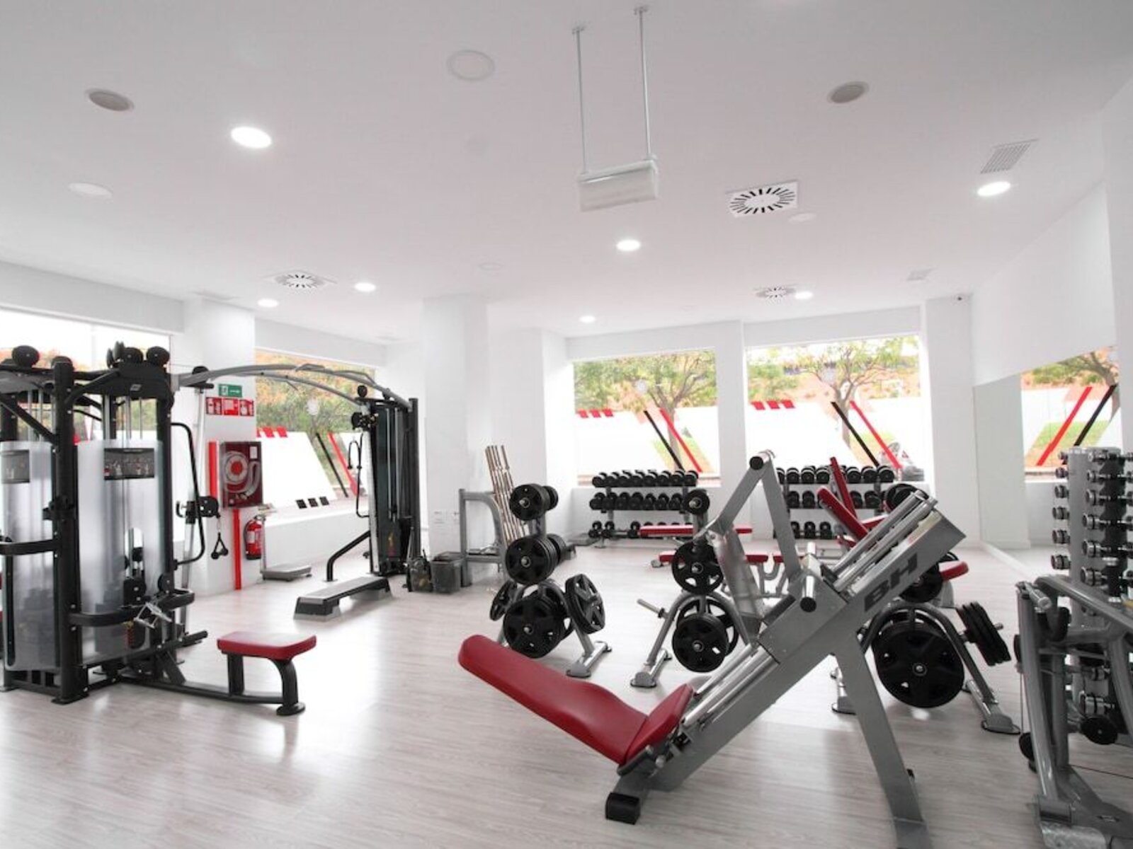 Sport