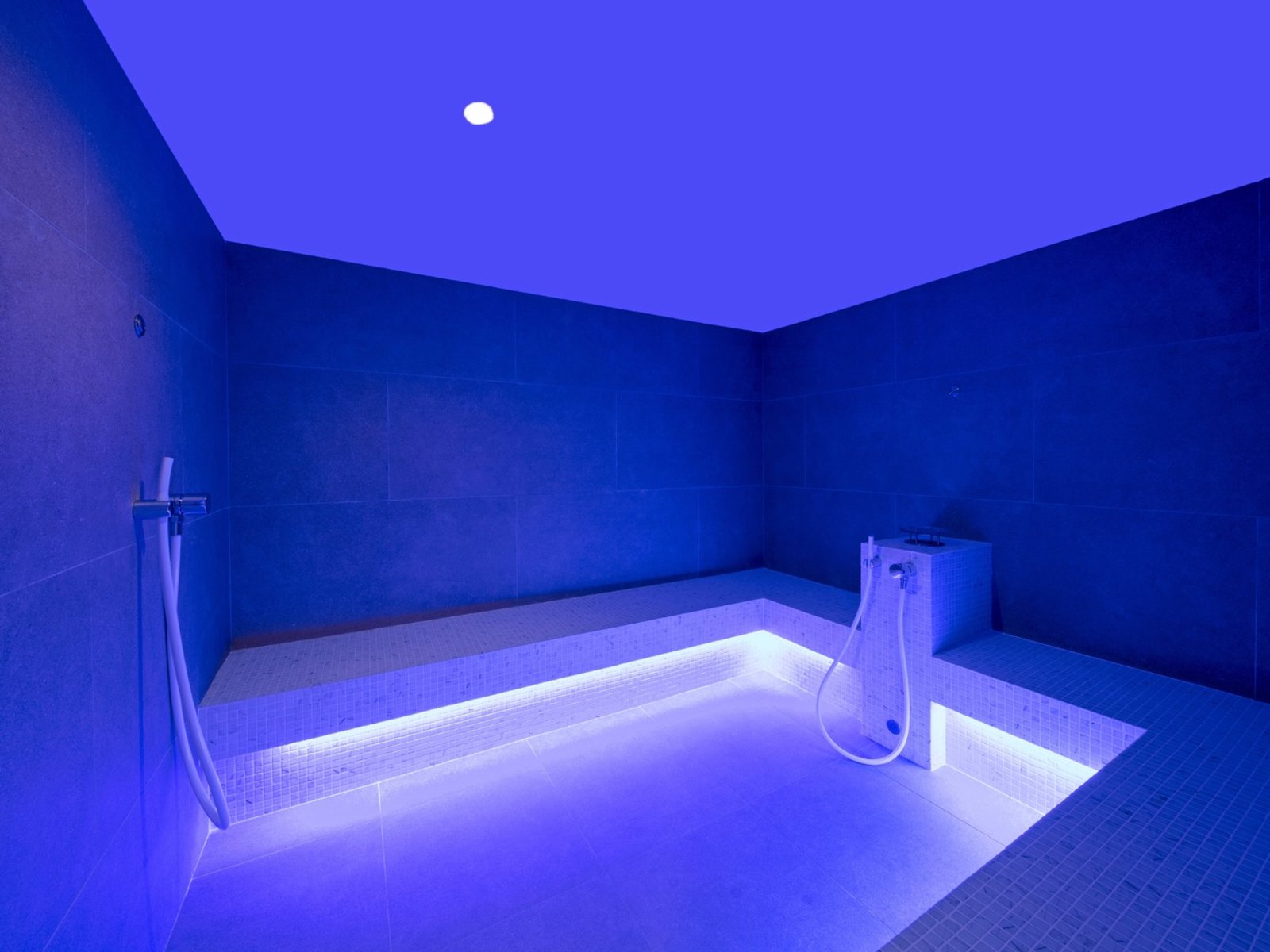 Wellness