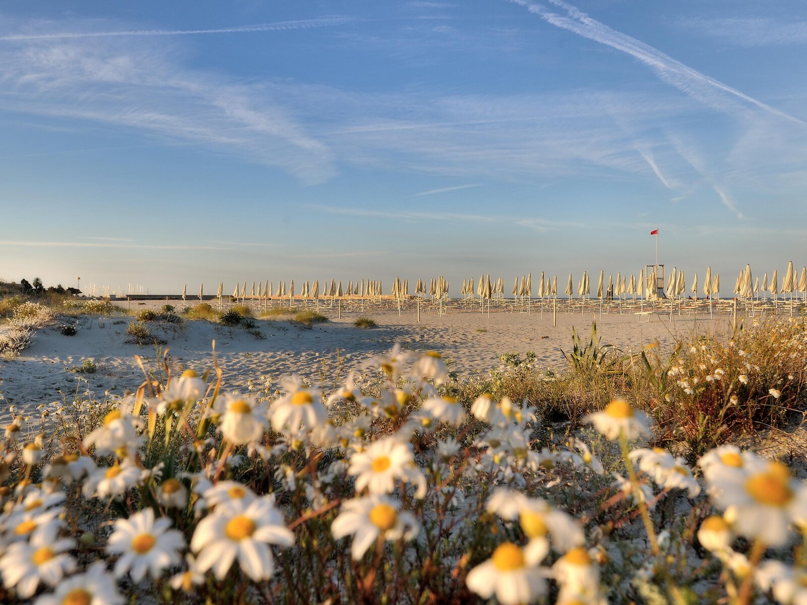 Landschaft