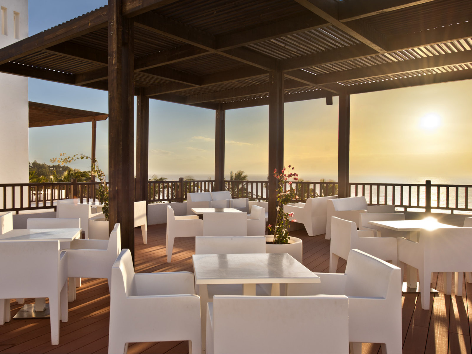 Bar Palmeral