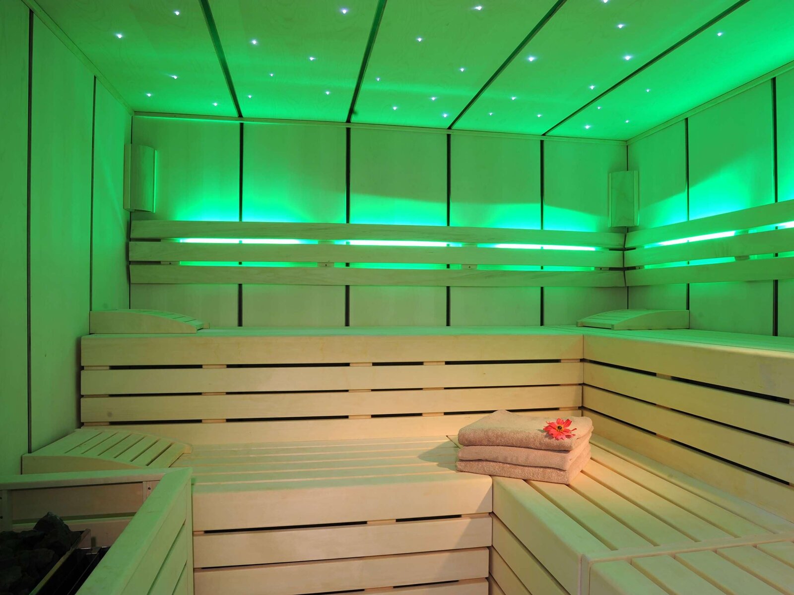 Wellness