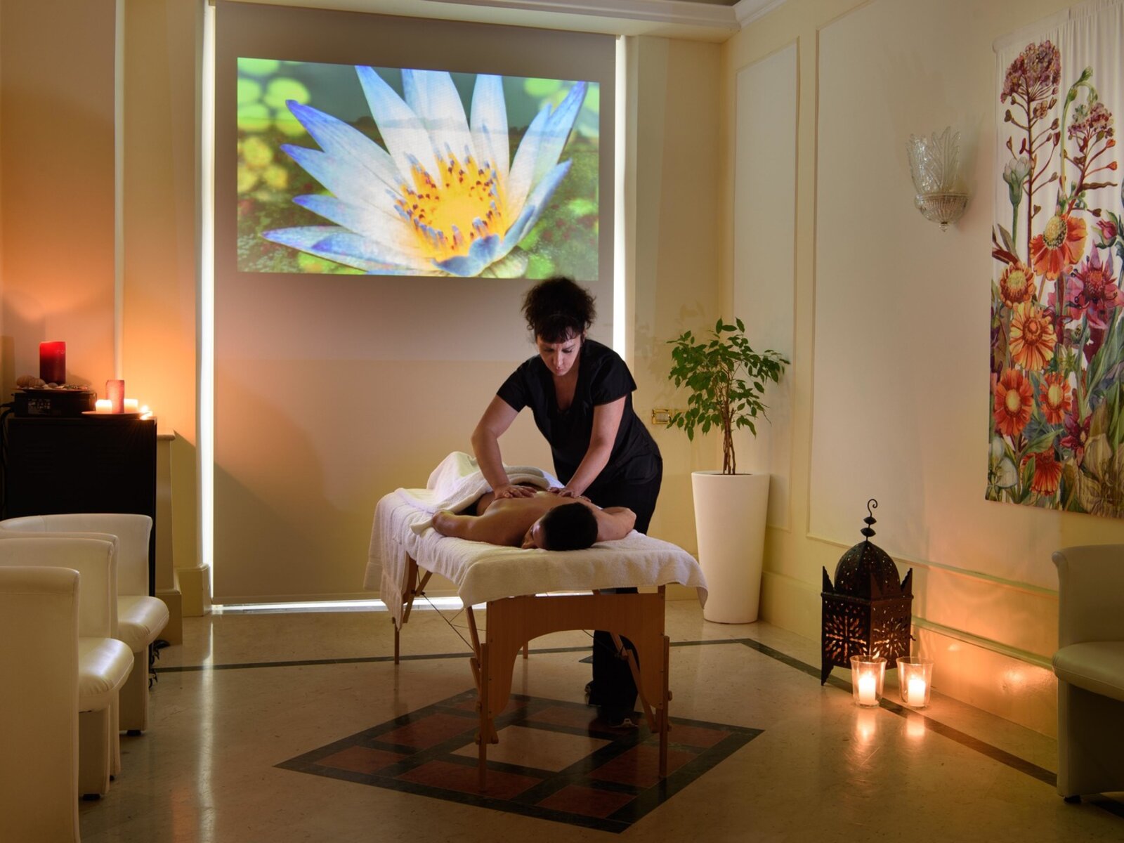 Wellness
