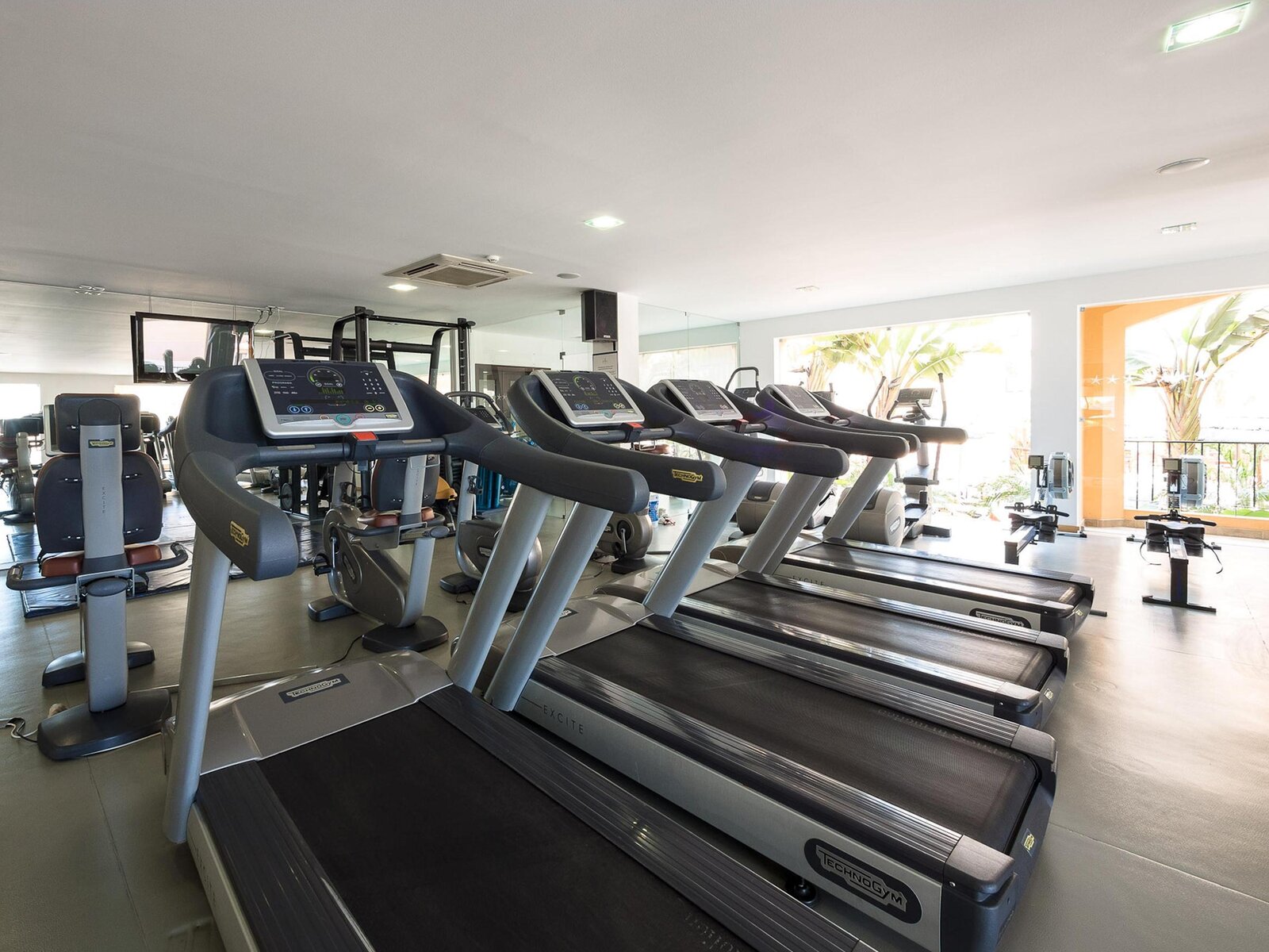 Sport