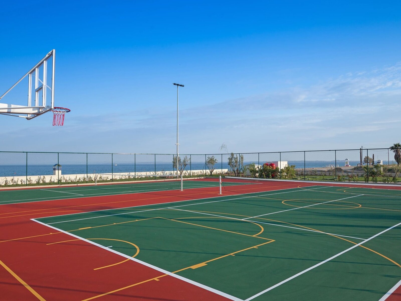 Sport