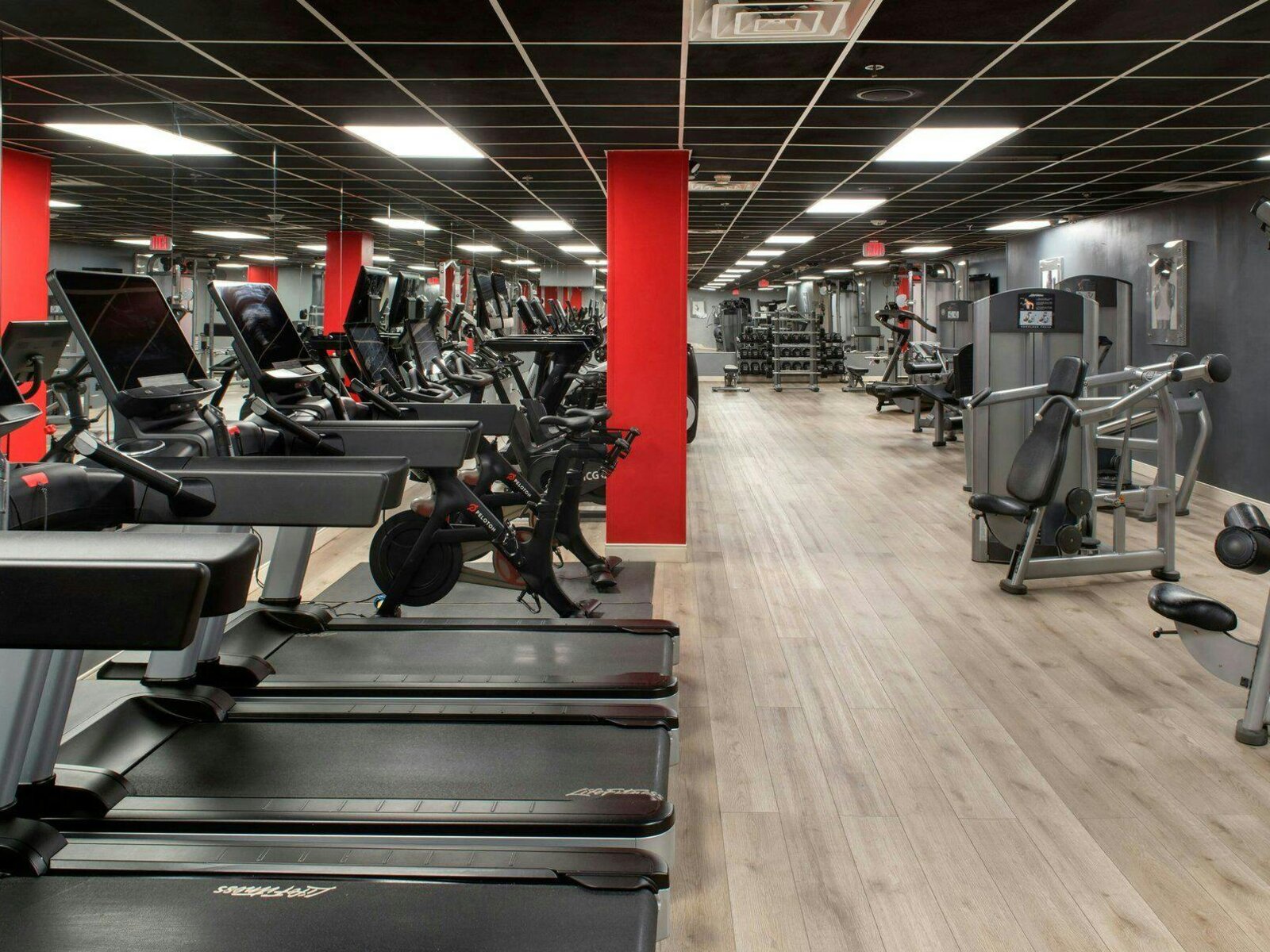 Sport