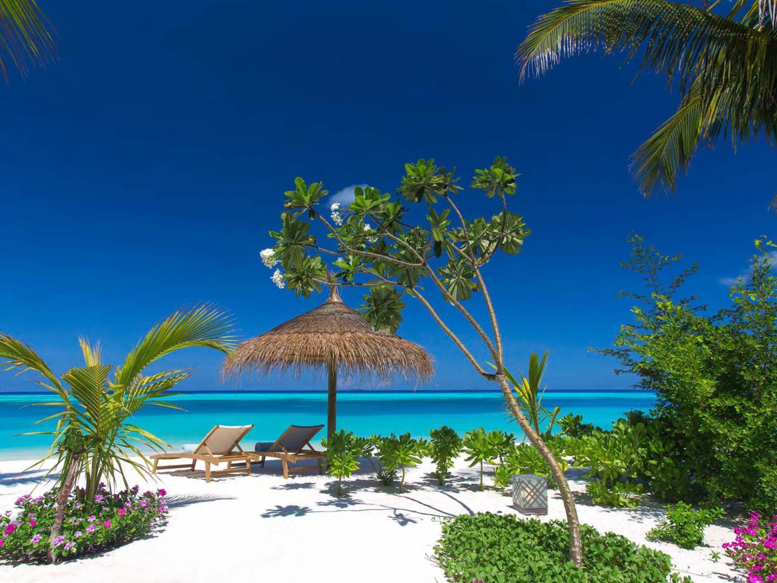 Ozen by Atmosphere at Maadhoo