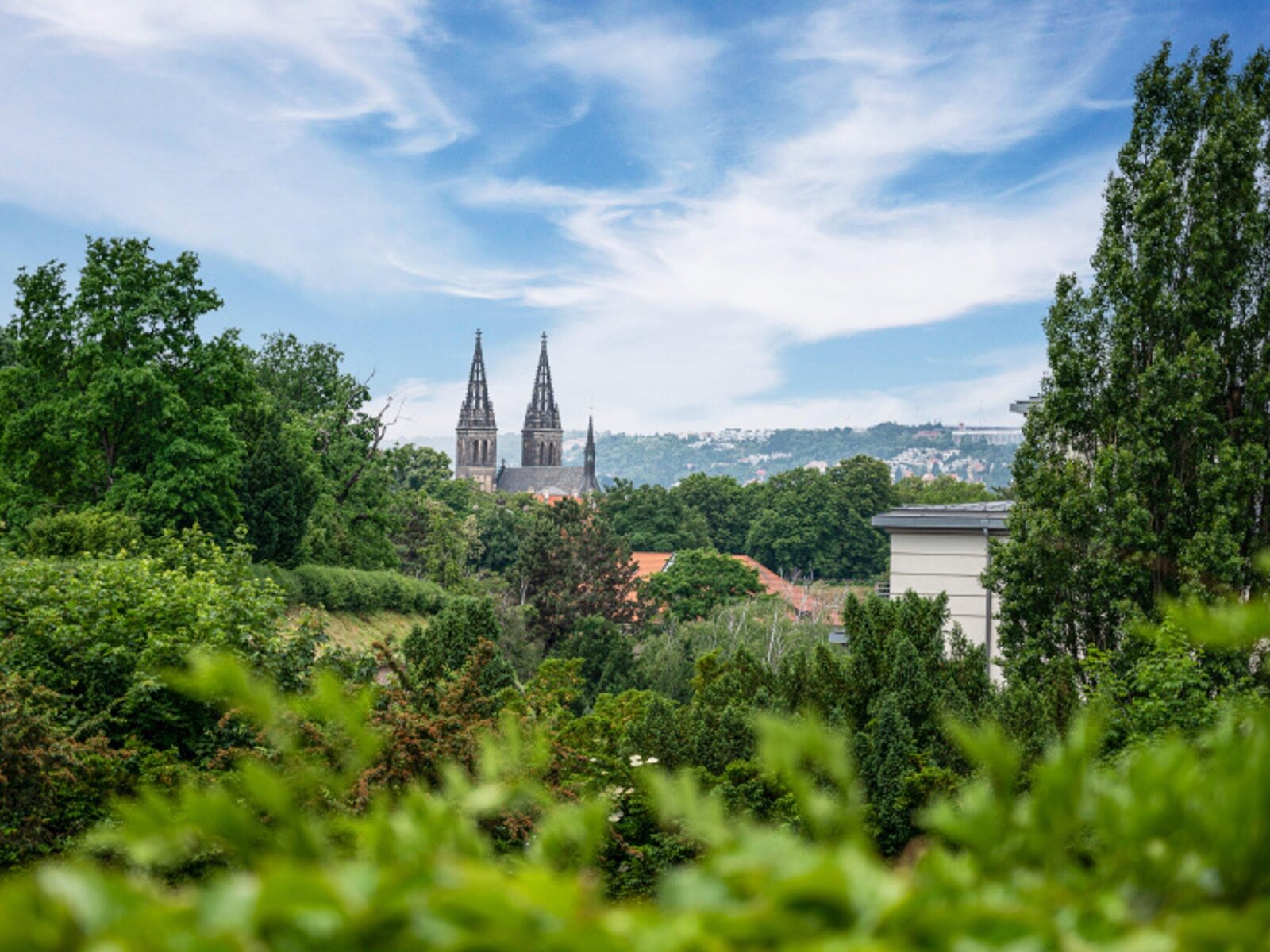 Landschaft