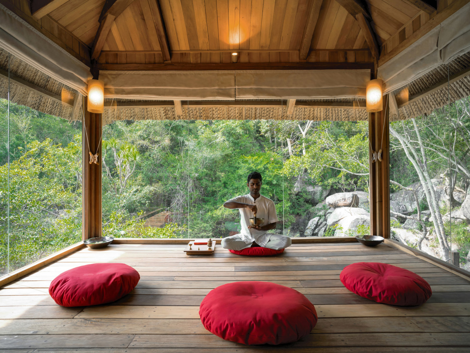 Wellness