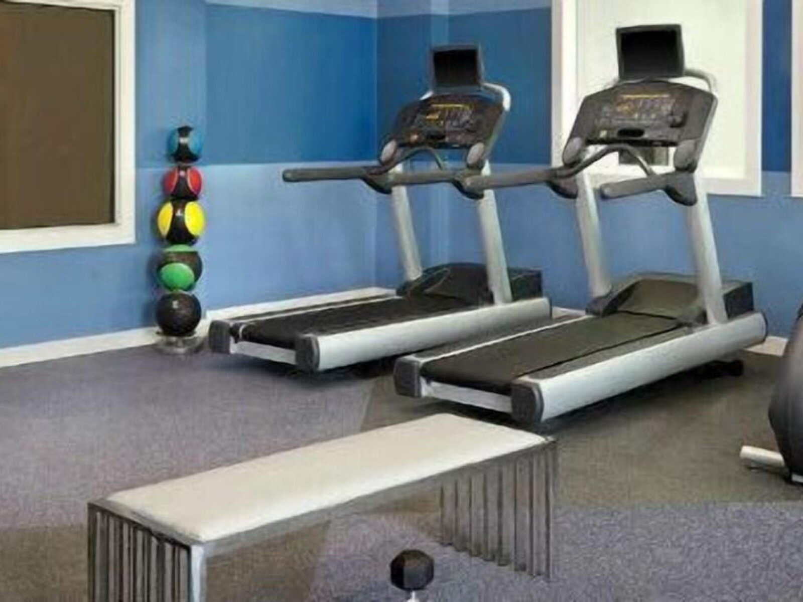 Sport